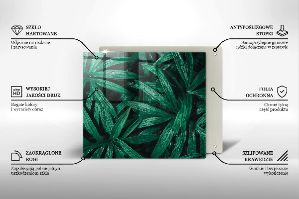 Protection plaque induction Feuilles de plantes