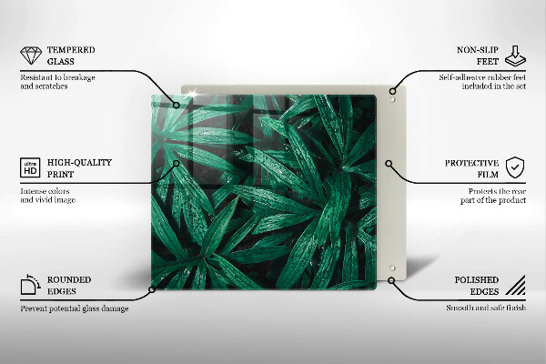 Protection plaque induction Feuilles de plantes