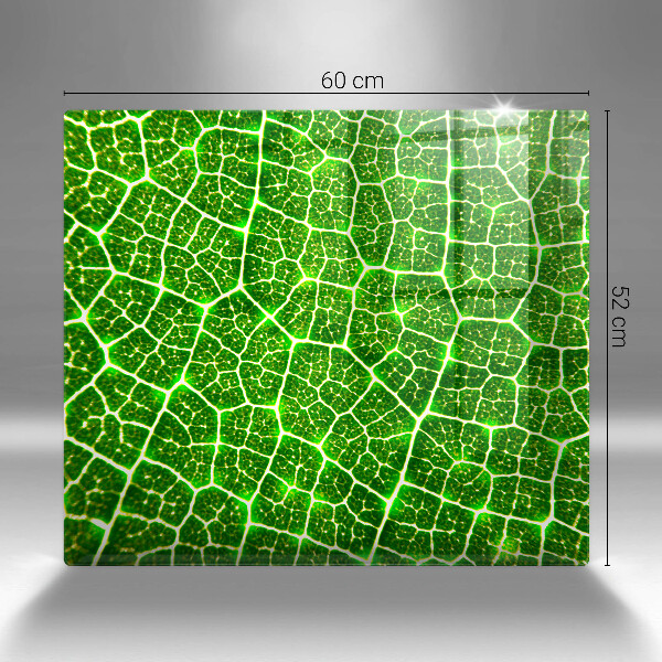 Protection plaque induction Structure des feuilles