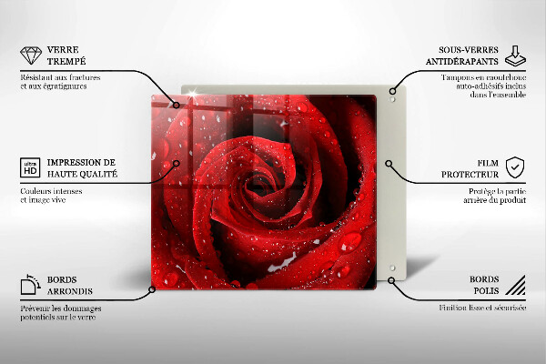 Cache plaque de cuisson Pétales de fleurs de roses