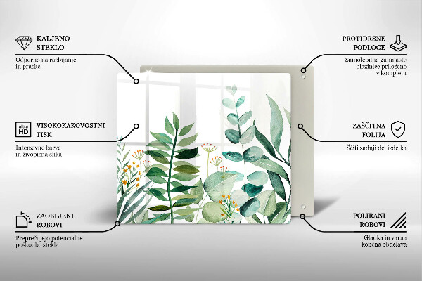 Protection plaque induction Illustration de feuilles de plantes