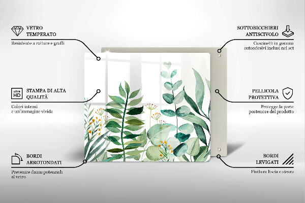 Protection plaque induction Illustration de feuilles de plantes