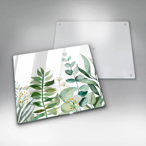 Protection plaque induction Illustration de feuilles de plantes