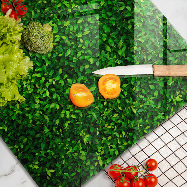 Cache plaque de cuisson Plante à petites feuilles