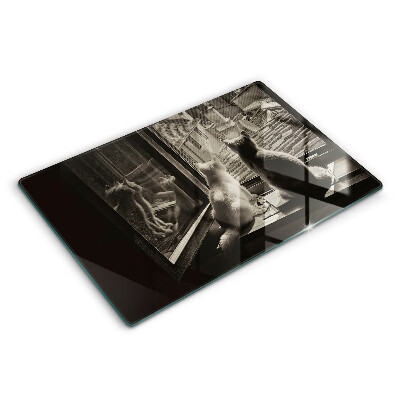 Protège plaque de cuisson Ville et fenêtre des chats