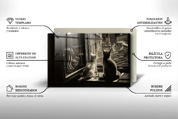 Protège plaque de cuisson Ville et fenêtre des chats