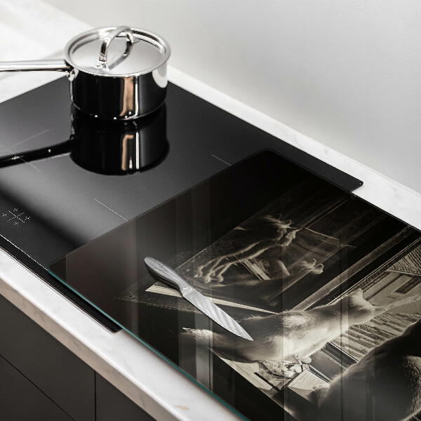 Protège plaque de cuisson Ville et fenêtre des chats