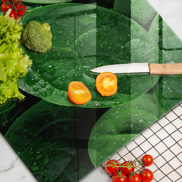 Protège plaque de cuisson Feuilles de basilic