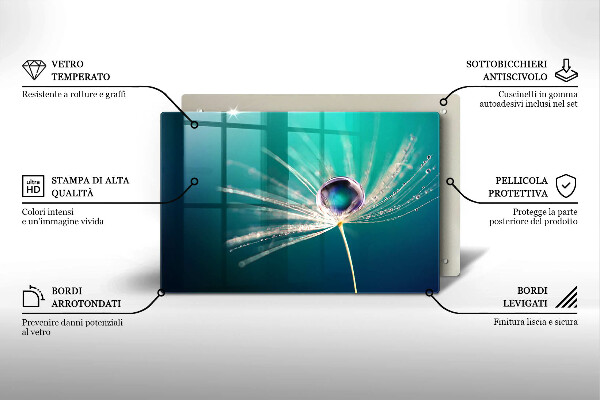 Protection pour plaque de cuisson Rosée sur un pissenlit