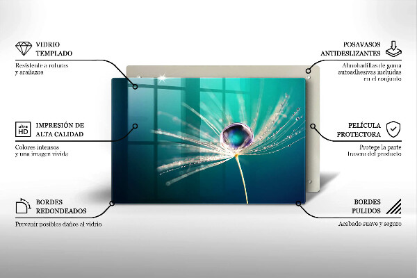 Protection pour plaque de cuisson Rosée sur un pissenlit