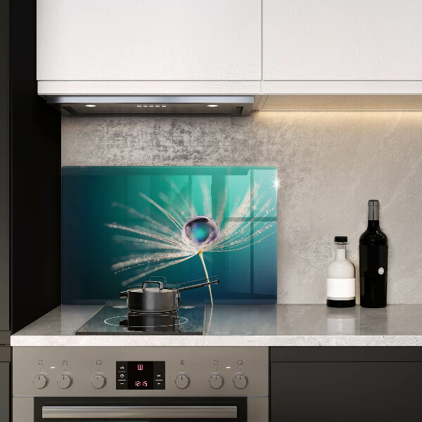 Protection pour plaque de cuisson Rosée sur un pissenlit