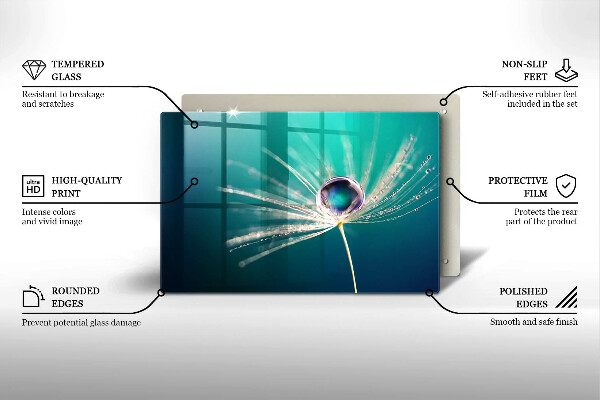 Protection pour plaque de cuisson Rosée sur un pissenlit