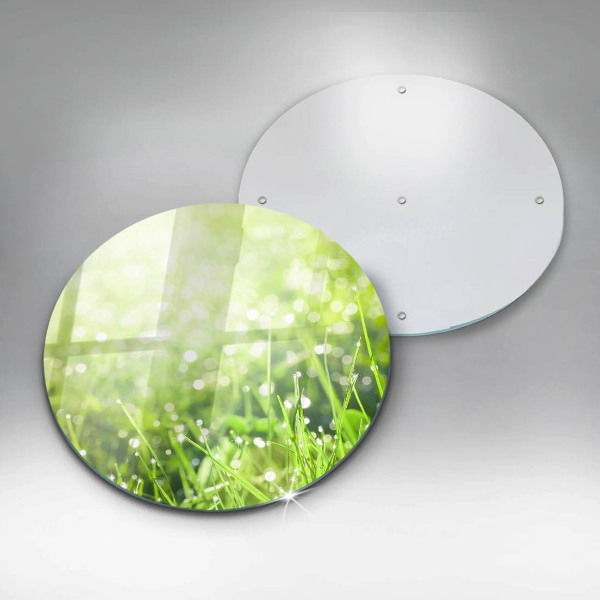 Protection plaque induction Nature - herbe et rosée