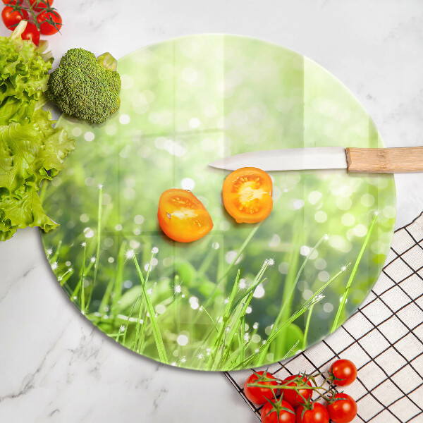 Protection plaque induction Nature - herbe et rosée