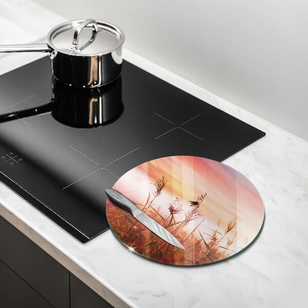 Protection plaque induction Paysage de champs d'herbe