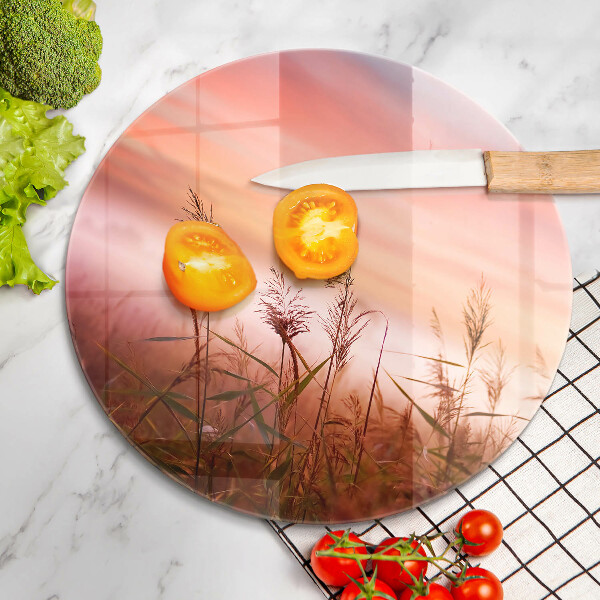 Protection plaque induction Paysage de champs d'herbe