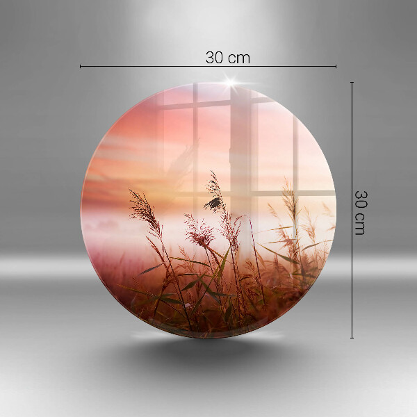 Protection plaque induction Paysage de champs d'herbe