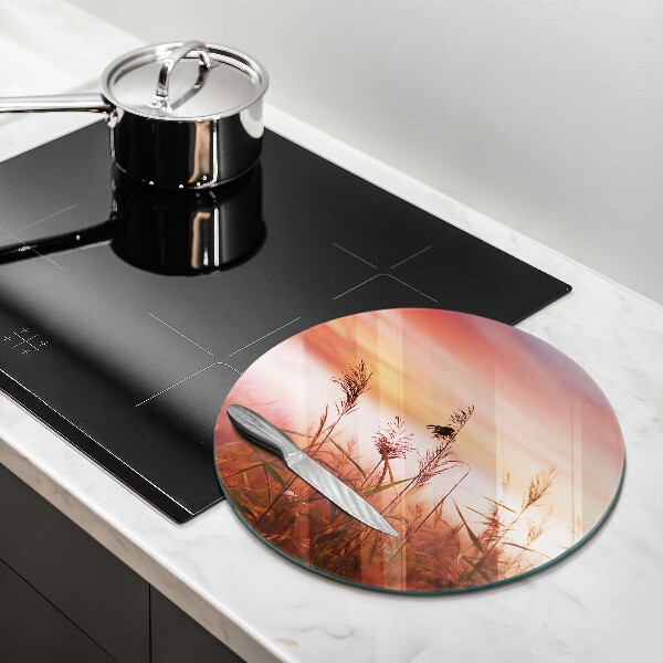 Protection plaque induction Paysage de champs d'herbe