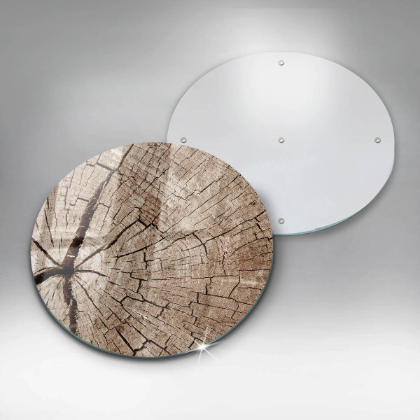 Protection plaque induction Coupe transversale d'un arbre