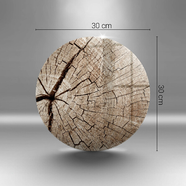 Protection plaque induction Coupe transversale d'un arbre