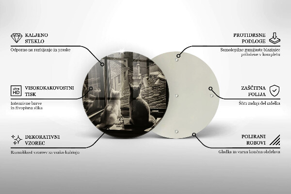 Protection plaque induction Ville et fenêtre des chats