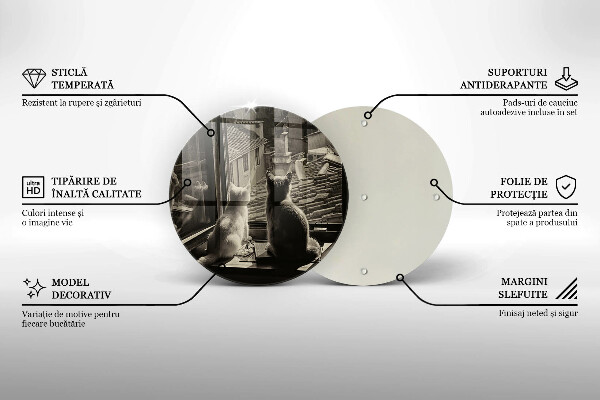 Protection plaque induction Ville et fenêtre des chats