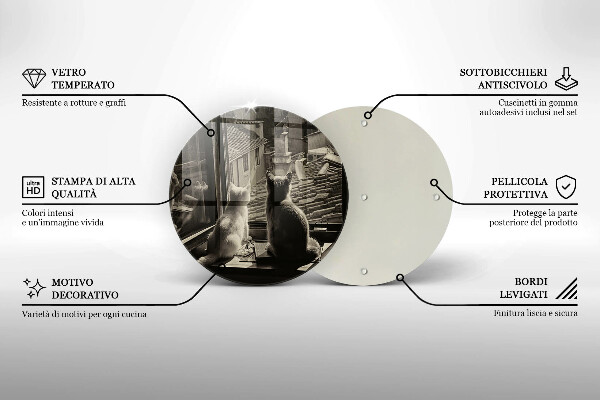 Protection plaque induction Ville et fenêtre des chats