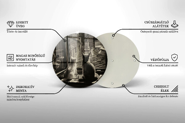 Protection plaque induction Ville et fenêtre des chats