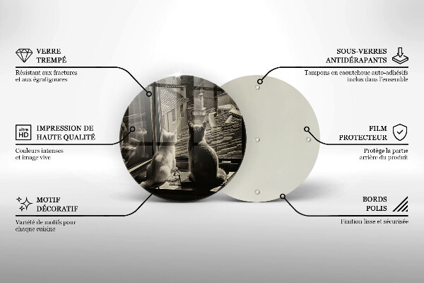 Protection plaque induction Ville et fenêtre des chats