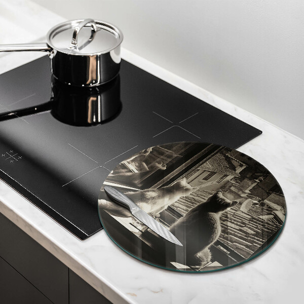 Protection plaque induction Ville et fenêtre des chats