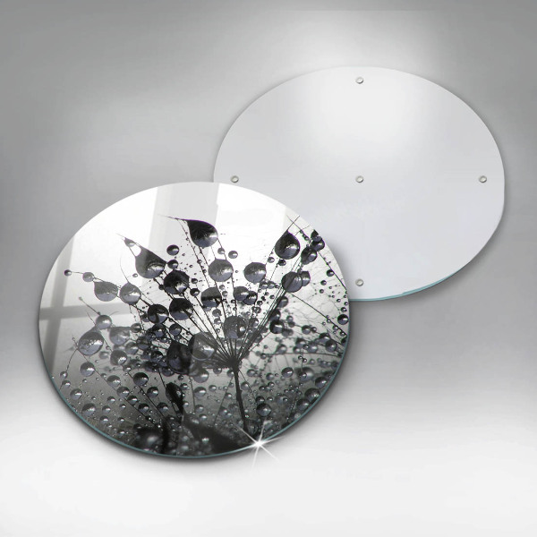 Protection plaque induction Pissenlits et rosée