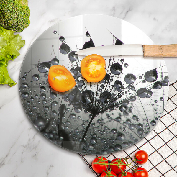 Protection plaque induction Pissenlits et rosée