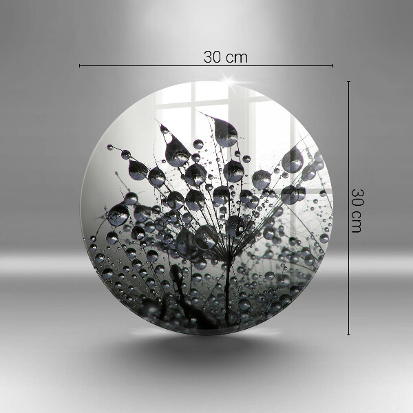 Protection plaque induction Pissenlits et rosée