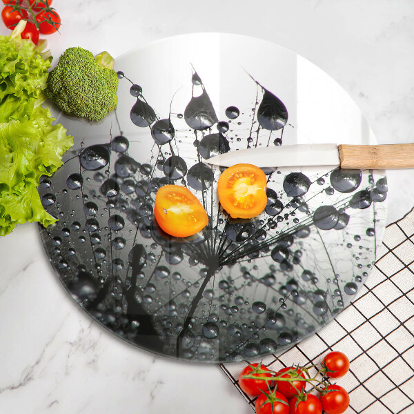 Protection plaque induction Pissenlits et rosée