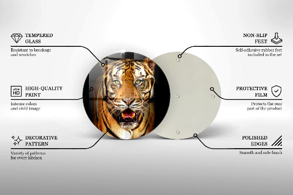 Protection plaque induction Tigre animal sauvage