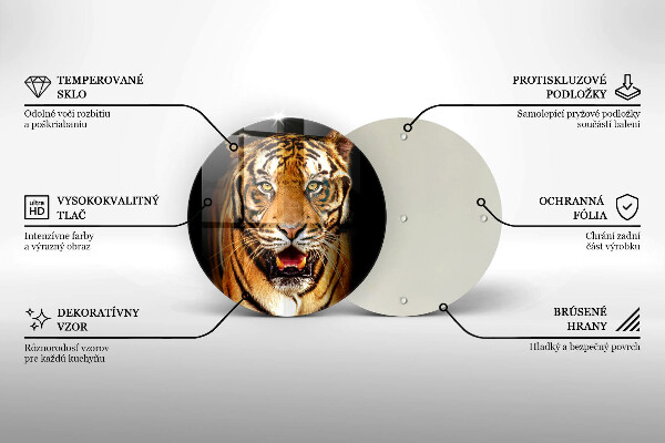 Protection plaque induction Tigre animal sauvage