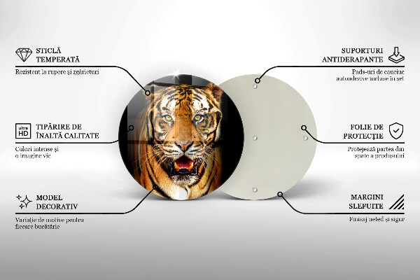 Protection plaque induction Tigre animal sauvage