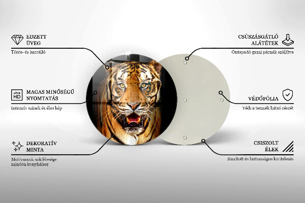 Protection plaque induction Tigre animal sauvage