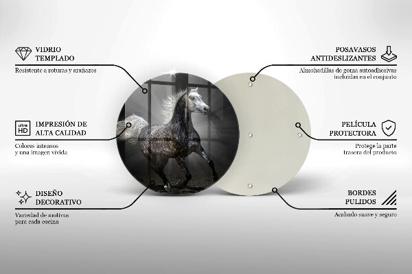 Protection plaque induction Cheval au galop