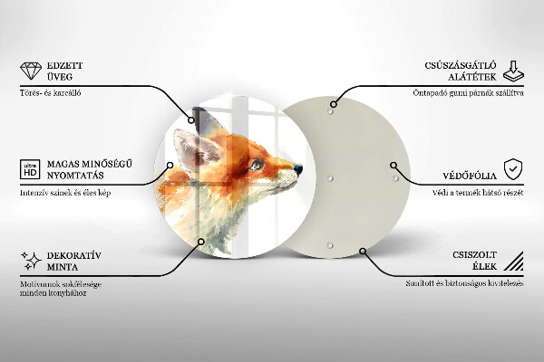 Protection plaque induction Renard peint