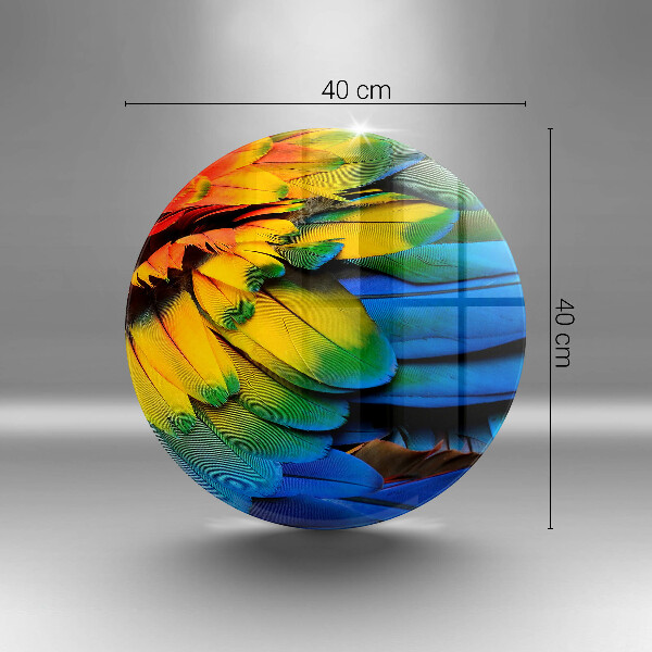 Protection plaque induction Plumes de perroquet colorées