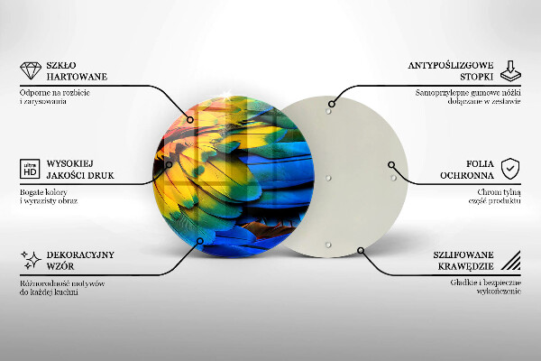 Protection plaque induction Plumes de perroquet colorées