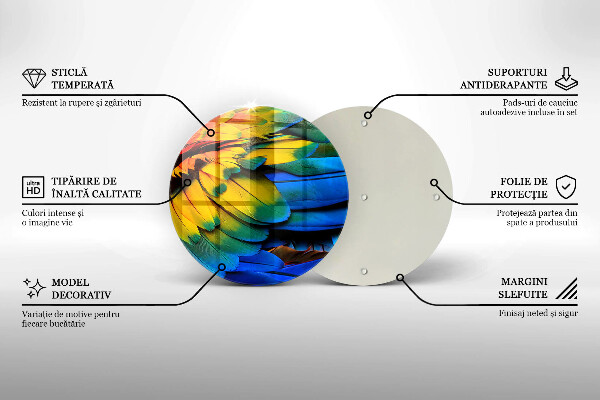 Protection plaque induction Plumes de perroquet colorées