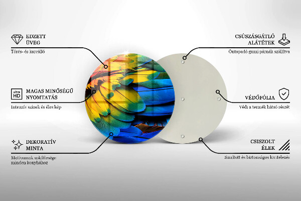 Protection plaque induction Plumes de perroquet colorées