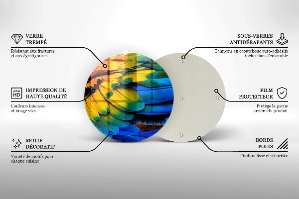 Protection plaque induction Plumes de perroquet colorées