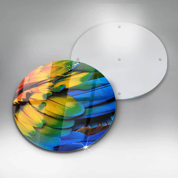 Protection plaque induction Plumes de perroquet colorées