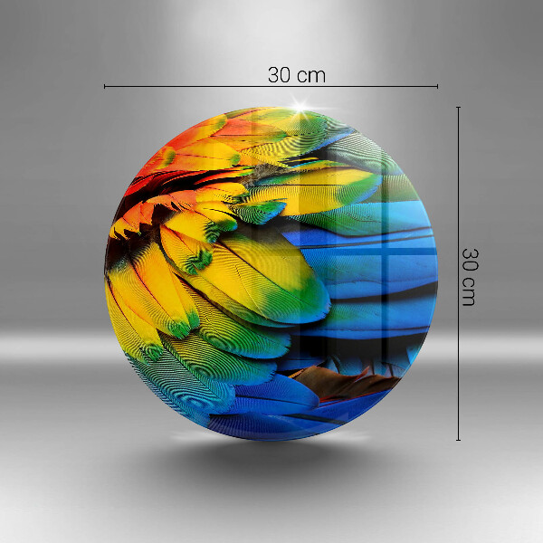 Protection plaque induction Plumes de perroquet colorées
