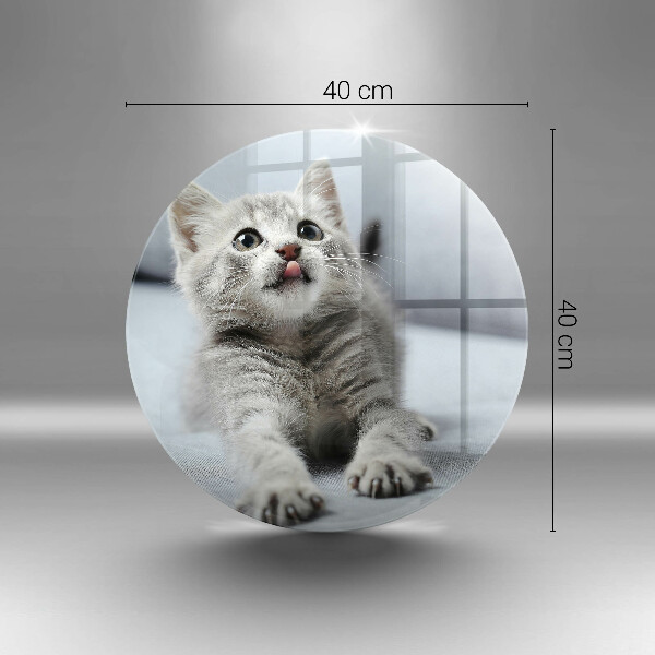 Protection plaque induction Petit chaton mignon