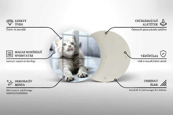 Protection plaque induction Petit chaton mignon