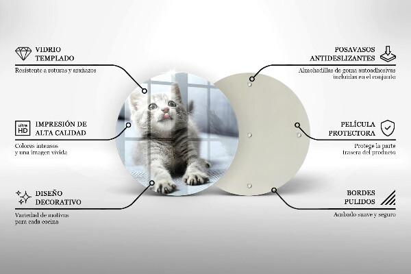 Protection plaque induction Petit chaton mignon